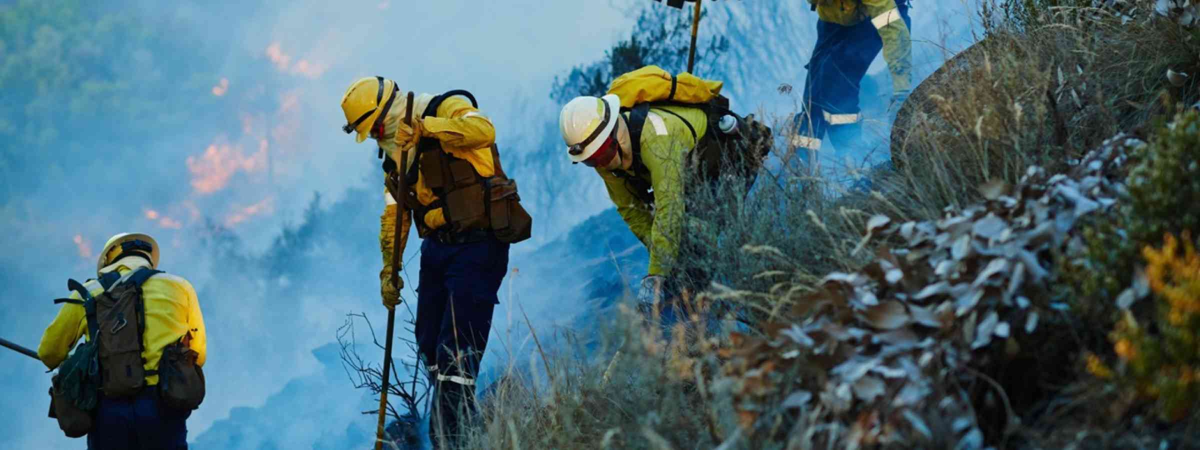 Firefighters amongst a brush fire