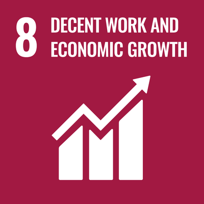 SDG 8 - Decent work and equitable growth
