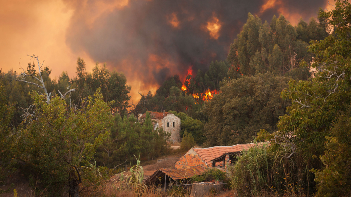 Forest Wild fire near houses on Portugal Summer