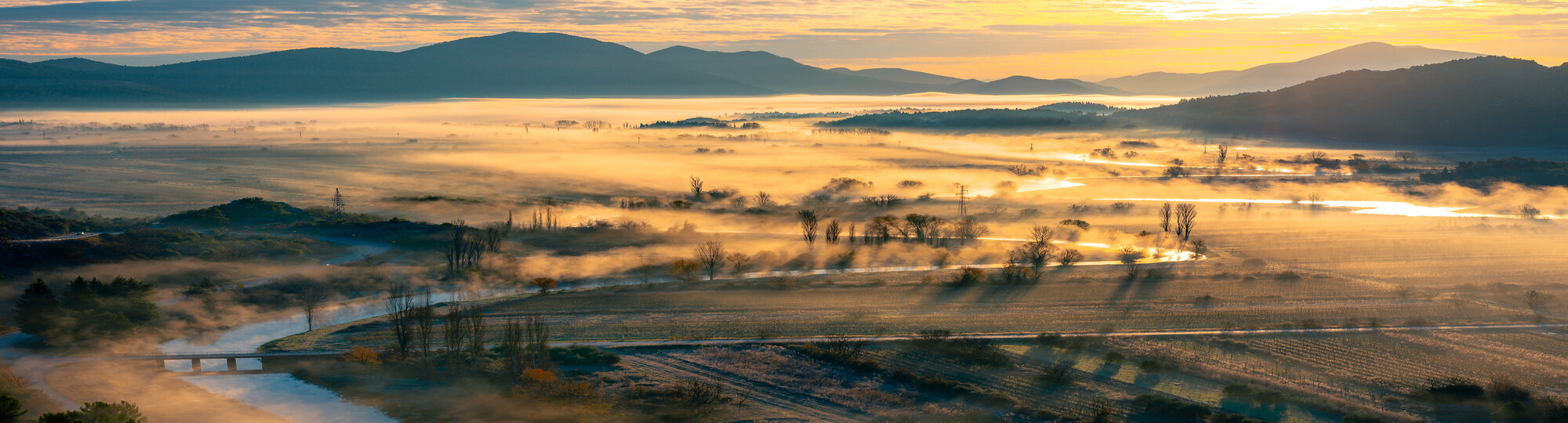 Misty morning