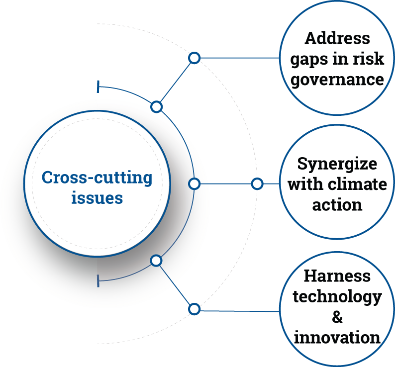 UNDRR strategic framework cross-cutting issues graphic
