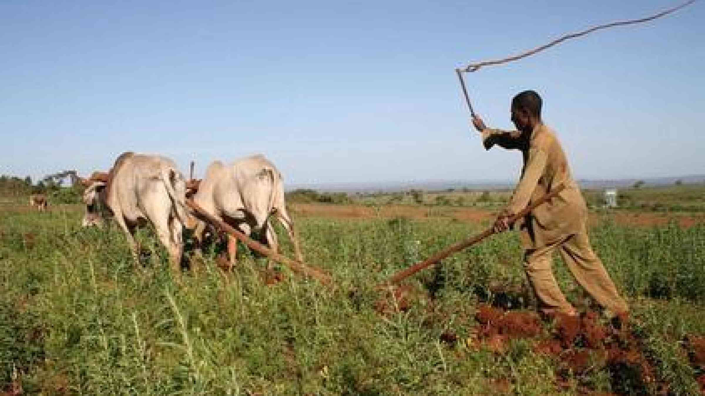 Africa to address Post-2015 disaster resilience agenda