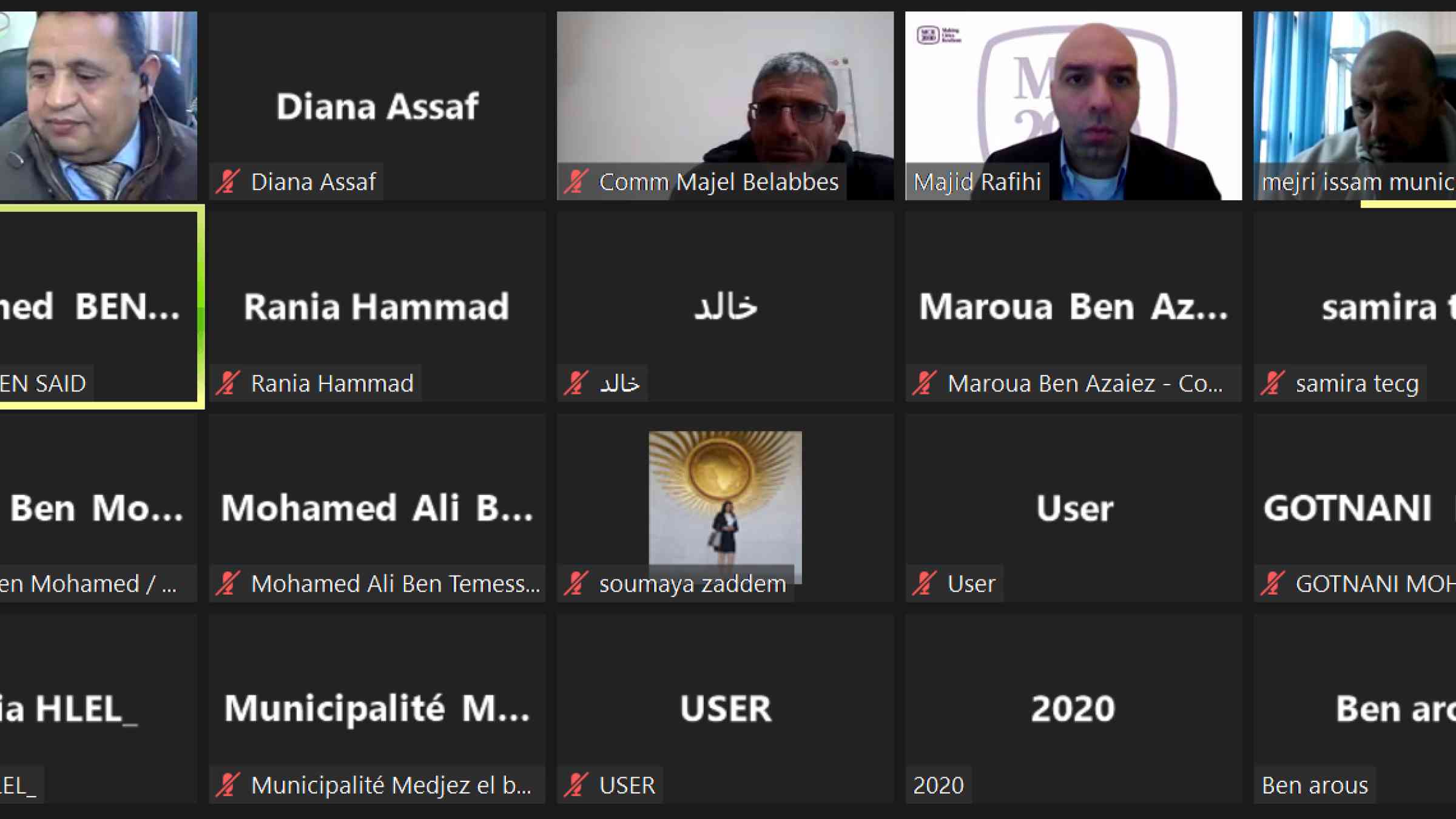 MCR2030 webinar Tunisia