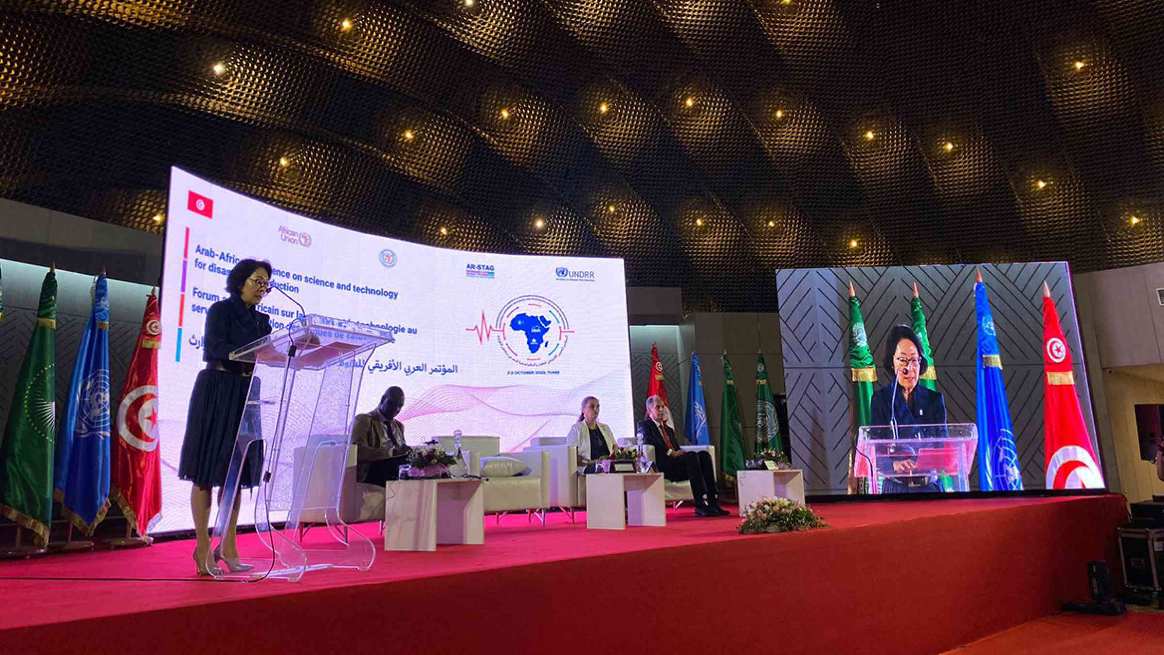 Arab Africa Conference: Towards a Resilient Future