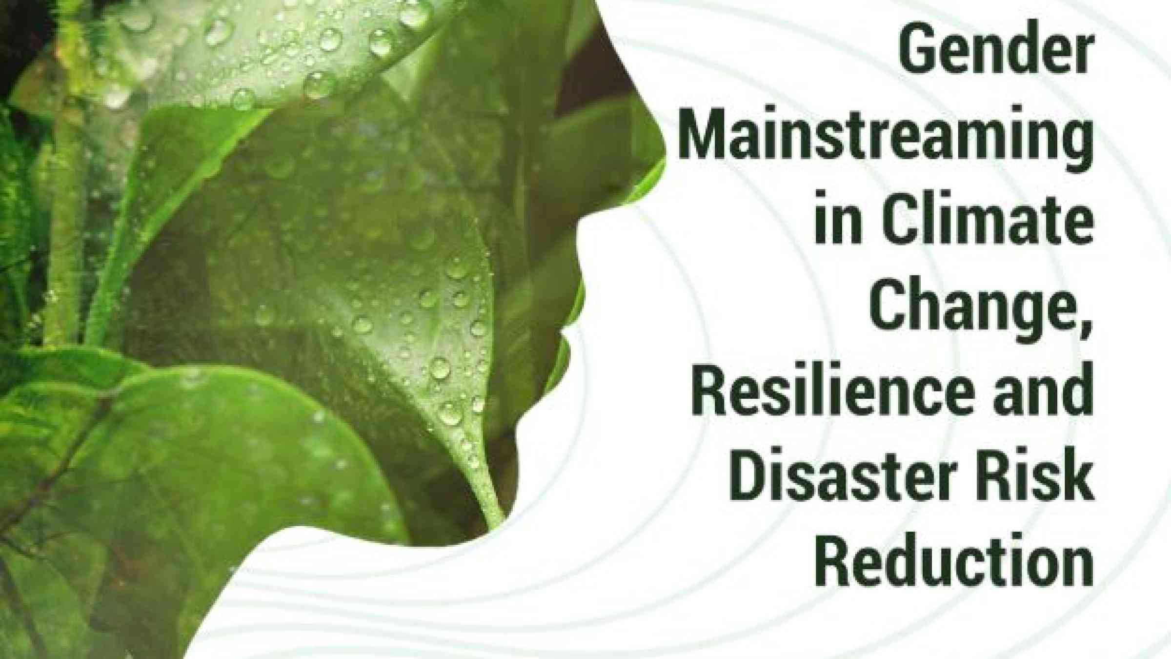 IBC Gender mainstreaming in climate change, resilience and DRR