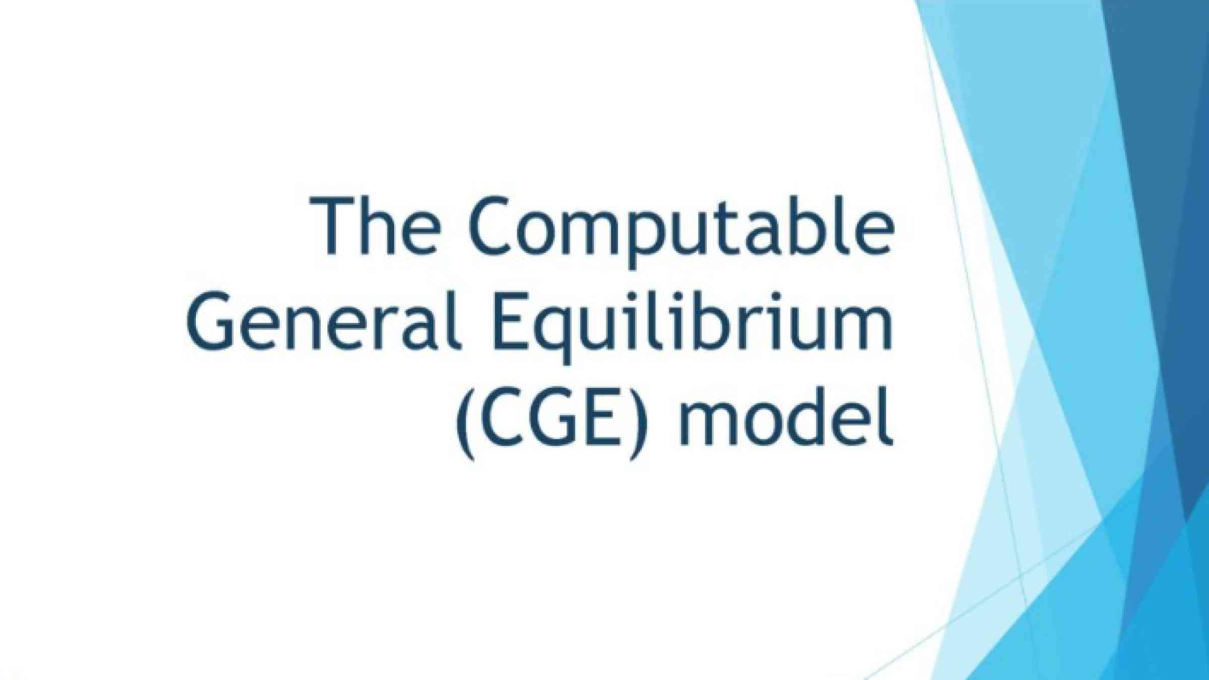 Computable General Equilibrium (CGE) Modelling 