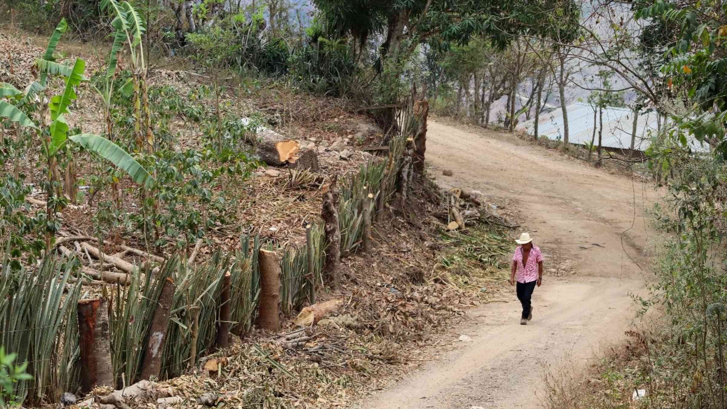 De la vulnerabilidad a la resiliencia: el impacto de la acción anticipatoria en Jocotán