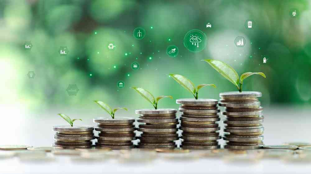 Green finance focuses on climate-conscious investments, driving sustainable economic development while balancing business growth with environmental responsibility.