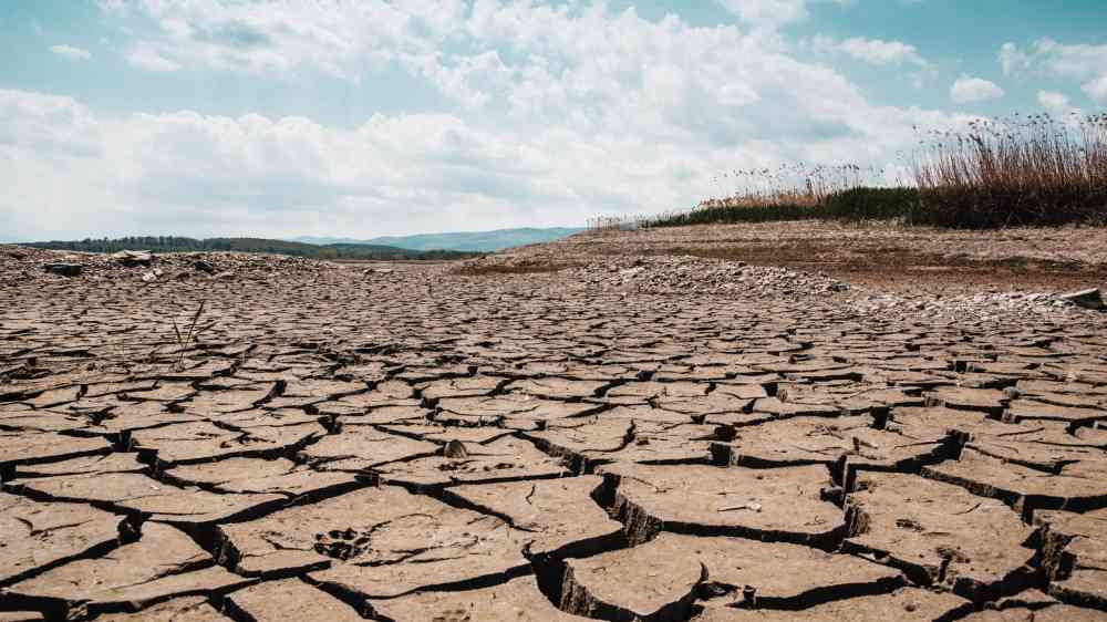 A stark landscape of cracked dry earth beneath a clear blue sky, depicting arid climate and drought.