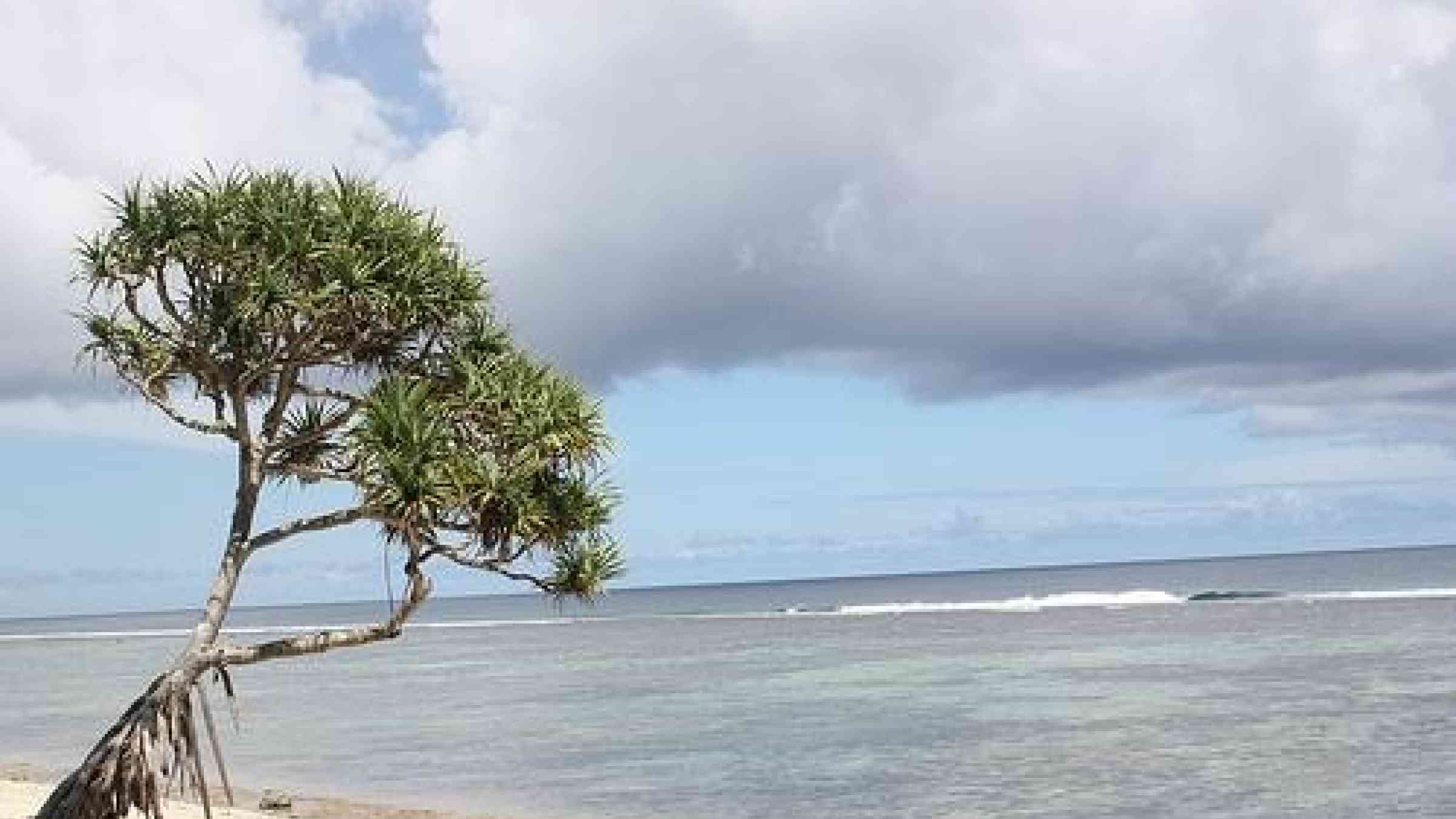 A beautiful inheritance: Tonga’s leaders are determined their country will remain resilient.