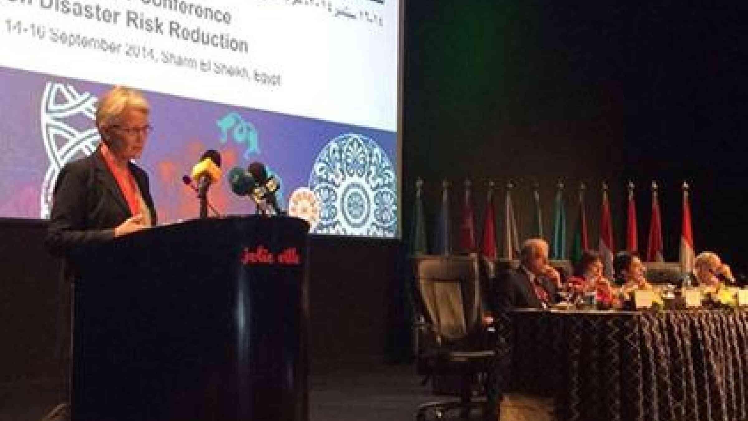 The head of the UN Office for Disaster Risk Reduction (UNISDR), Margareta Wahlstrom, speaking at the opening of the 2nd Arab Conference on Disaster Risk Reduction. (Photo: UNISDR)