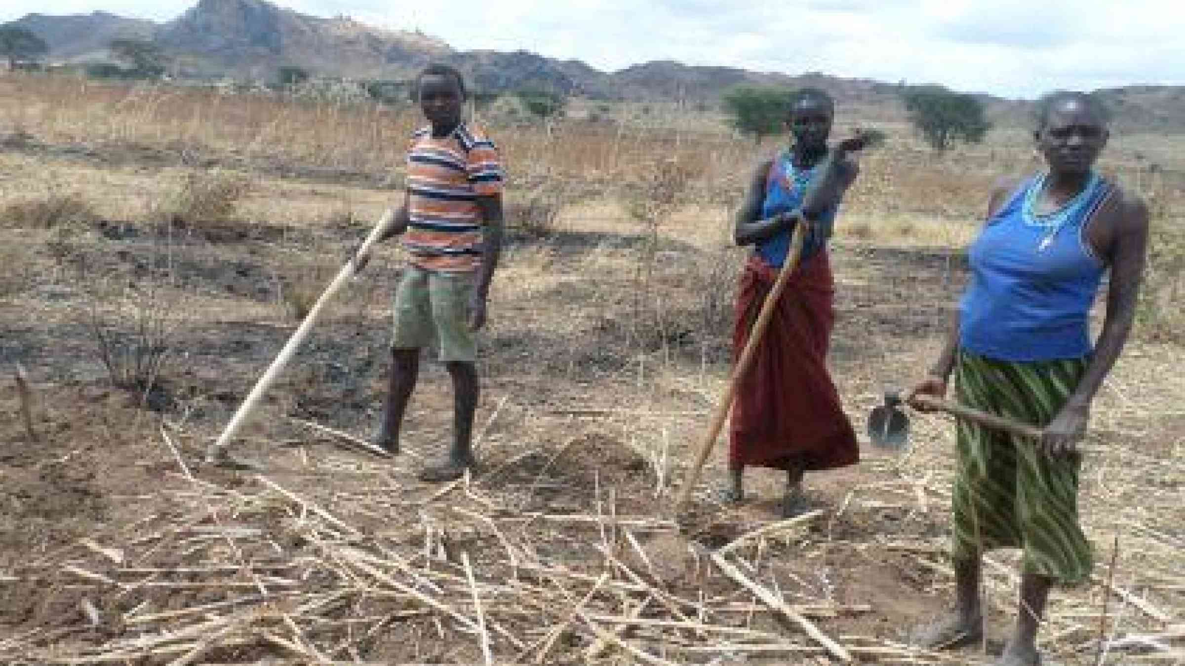 The project aims to improve the utilization of arid land for food and livestock production, as well as focus on climate change mitigation via tree-planting and environmental protection (Photo: UNISDR/Pius Loupa)