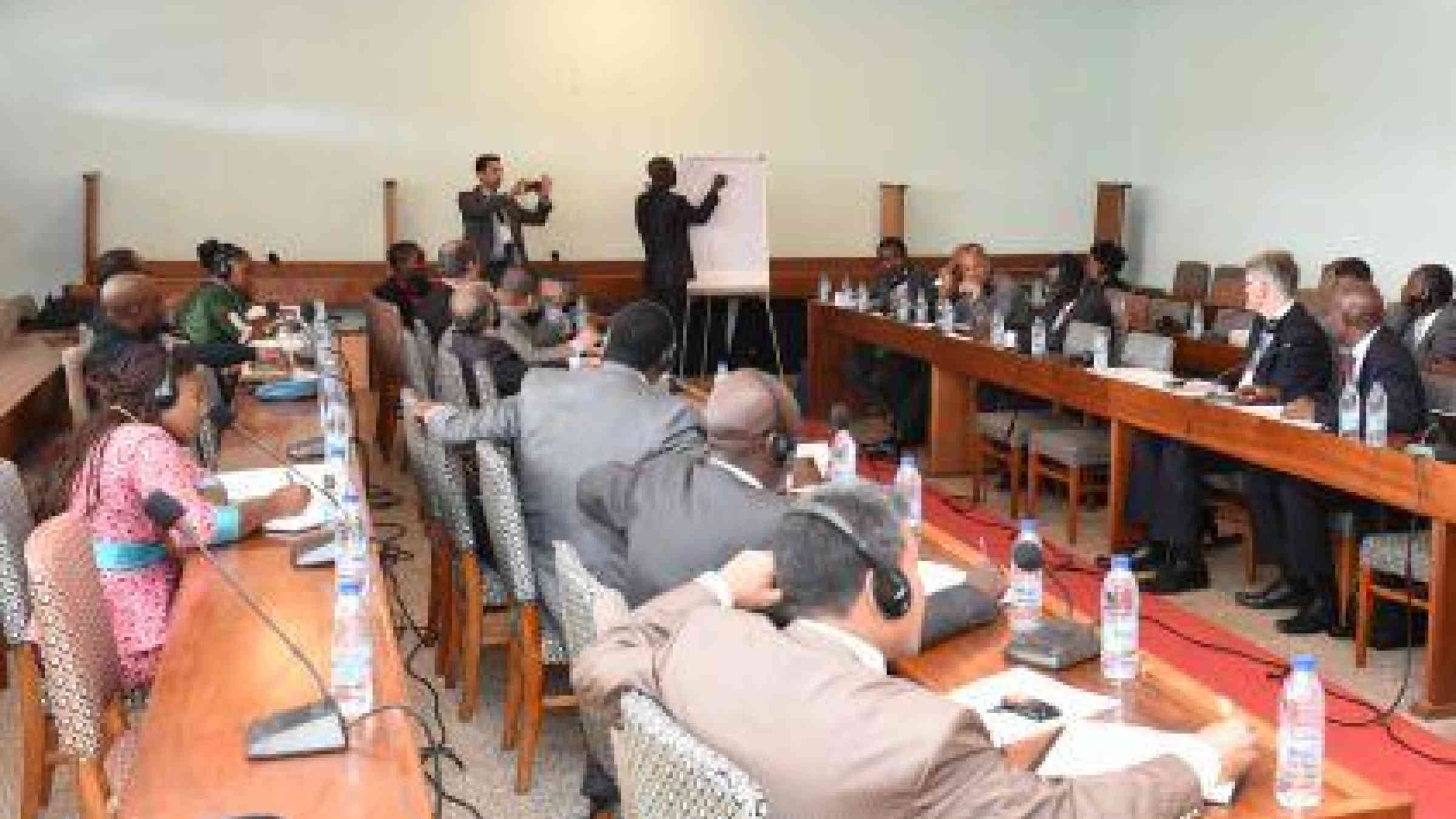 Participants in the Africa Working Group discuss how to apply the Sendai Framework for Disaster Risk Reduction (Photo: UNISDR)