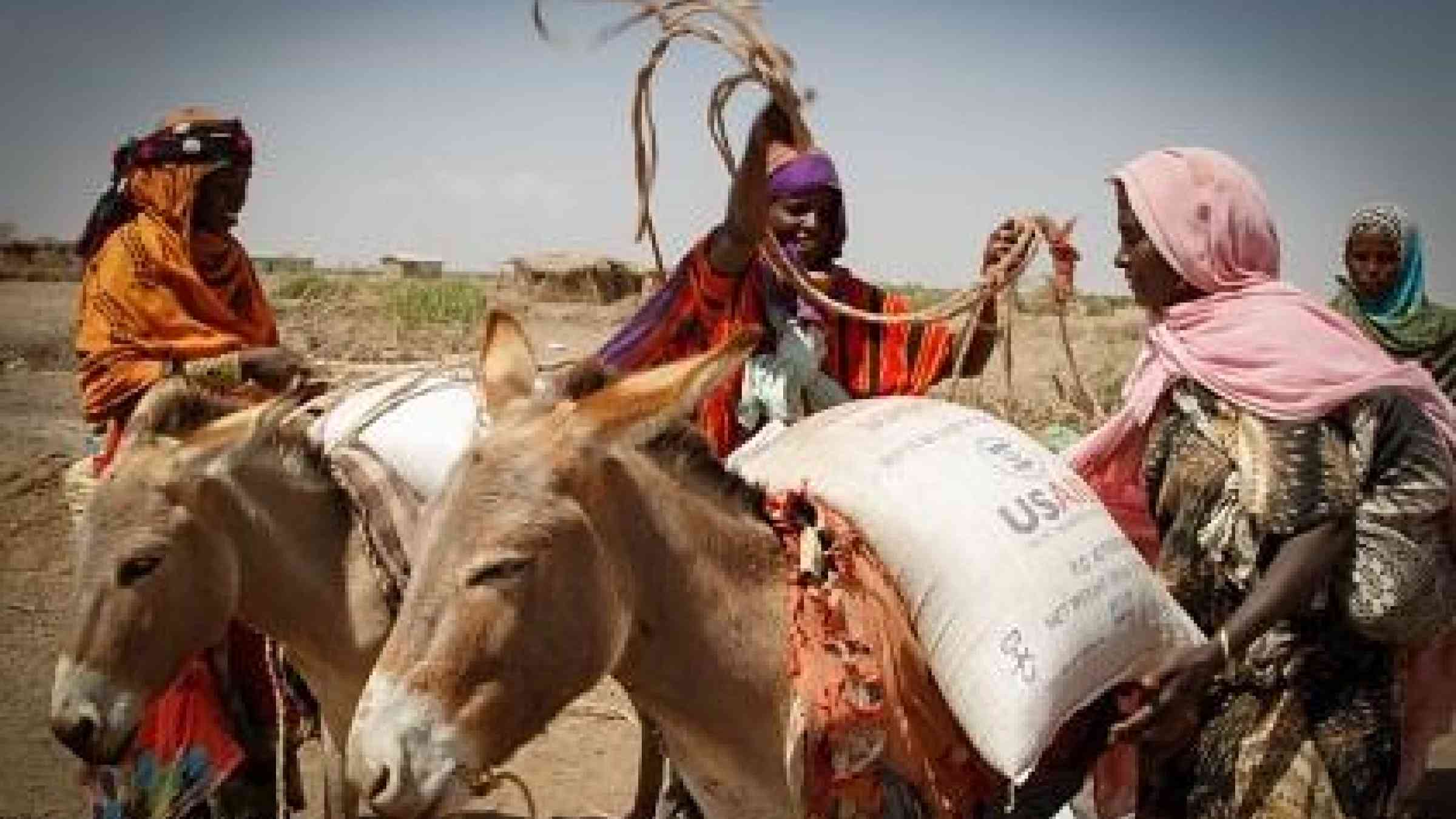 More needs to be done to build resilience in communities affected by the strongest El Nino in five decades, experts say (Photo: WFP/Michael Tewelde)