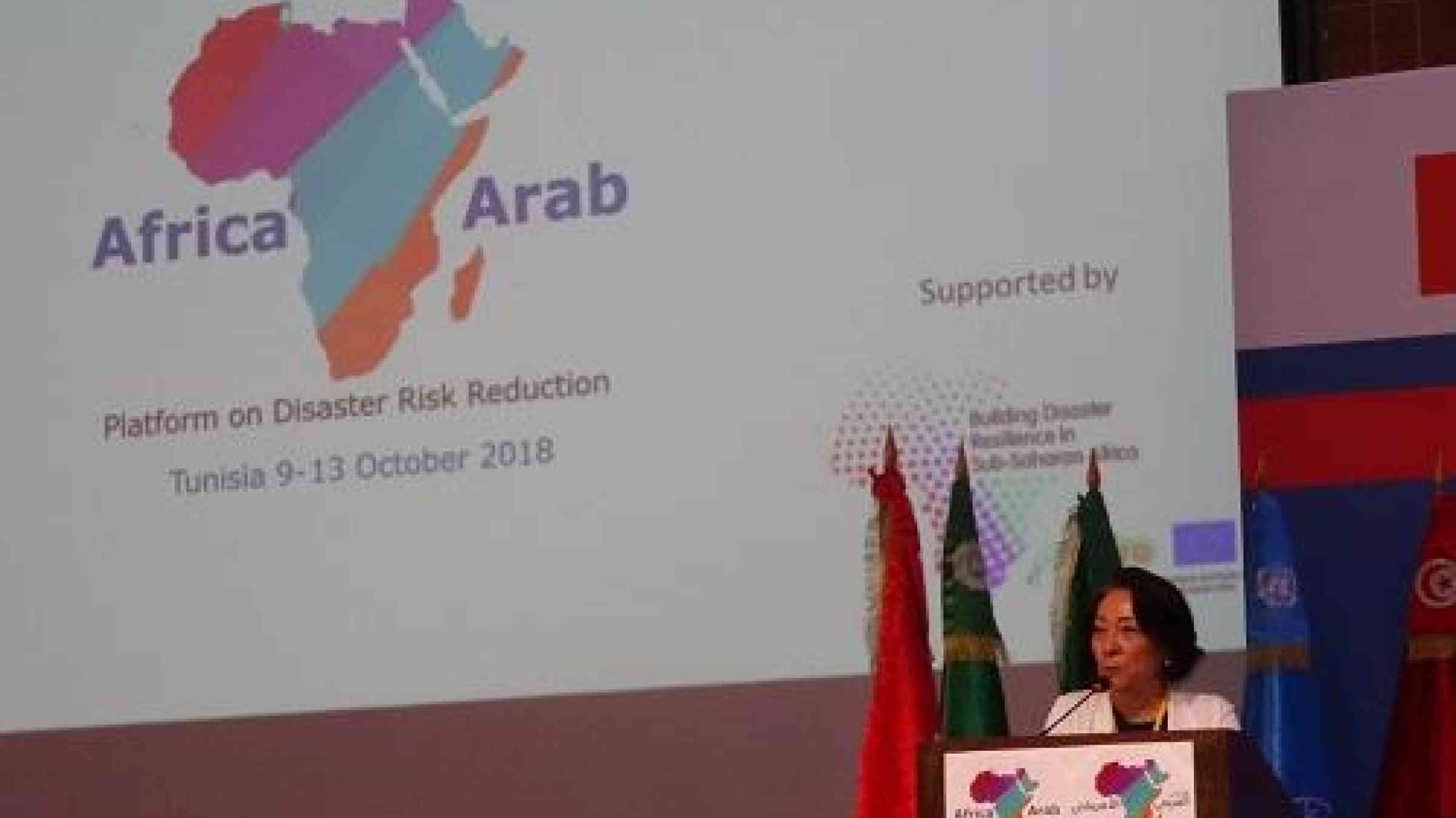 UNISDR head, Mami Mizutori, speaking at the closing ceremony of the joint Africa-Arab States Platform on Disaster Risk Reduction in Tunis