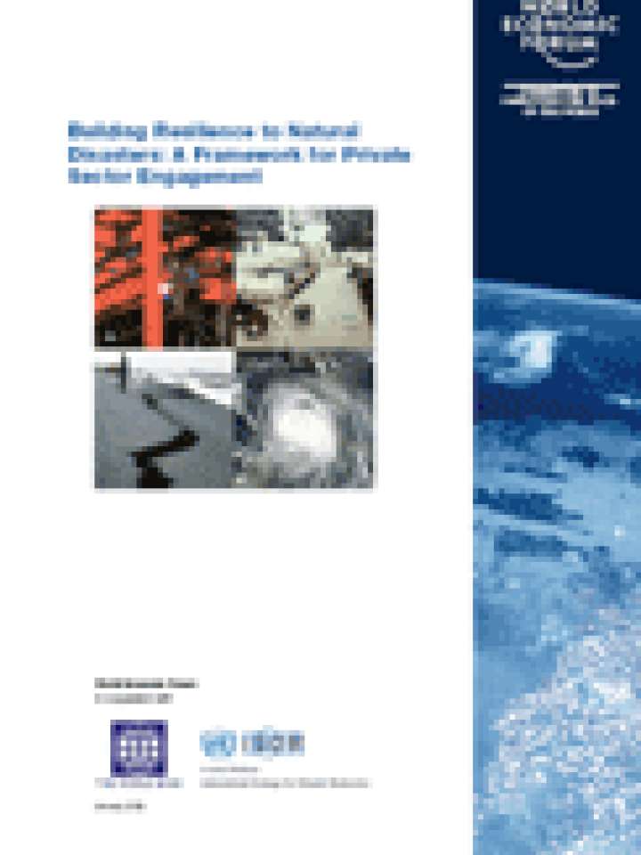 Building Resilience To Natural Disasters: A Framework For Private ...