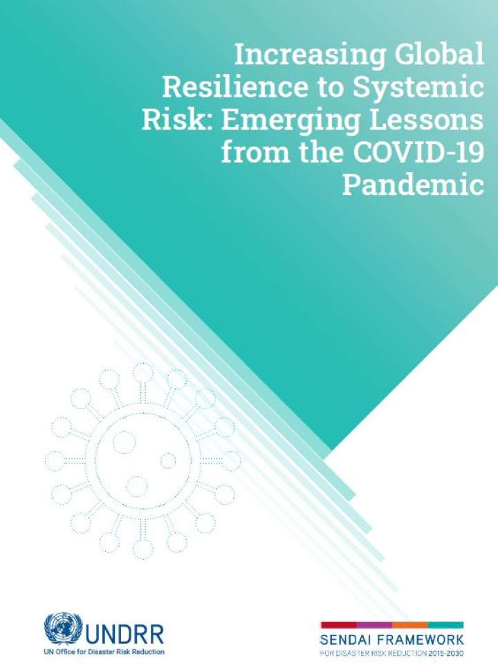 Increasing Global Resilience To Systemic Risk: Emerging Lessons From ...