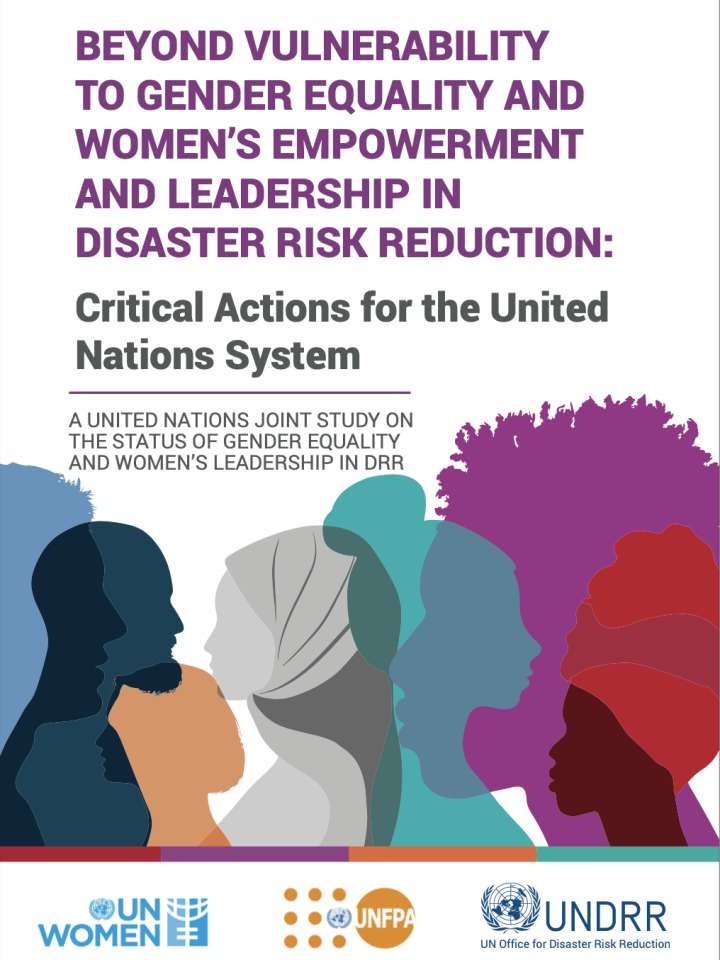 Beyond vulnerability to gender equality and women's empowerment and  leadership in disaster risk reduction: Critical actions for the United  Nations System