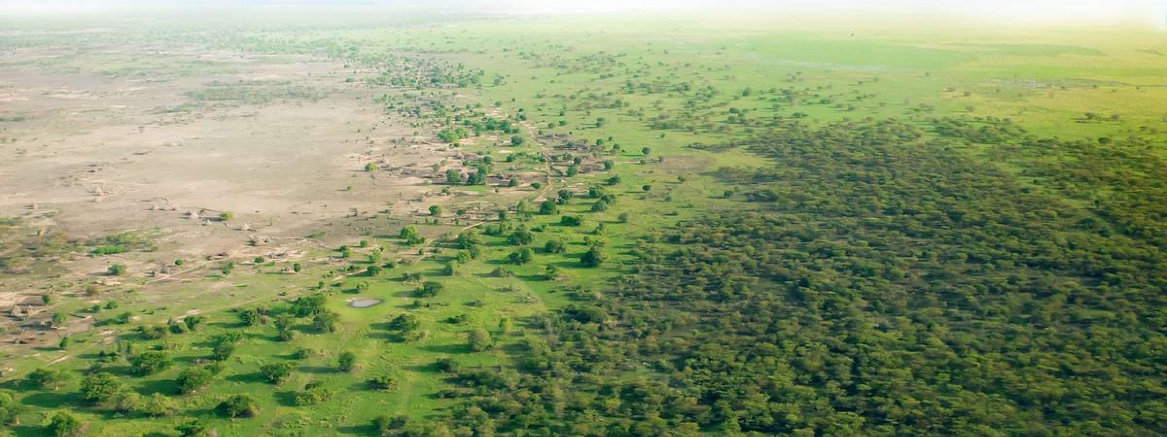 Drone shot showing the Great Green Wall