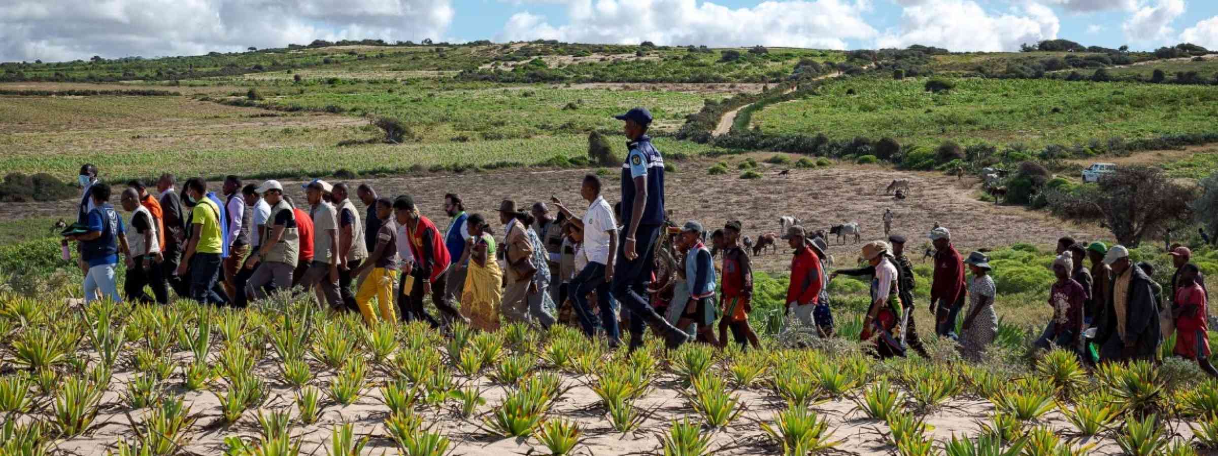 Group of people walking in a field in Madagascar